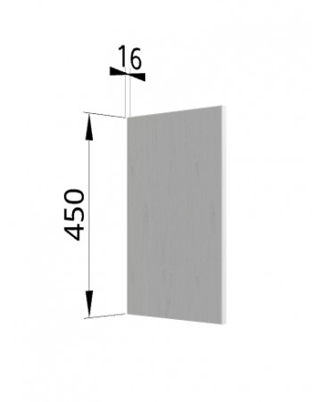 Панель торцевая (для шкафа горизонтального высокого) ВПГ Ройс (Графит софт) в Нюрбе - nyurba.mebel54.com | фото
